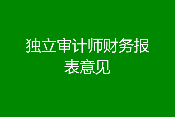 独立审计师财务报表意见