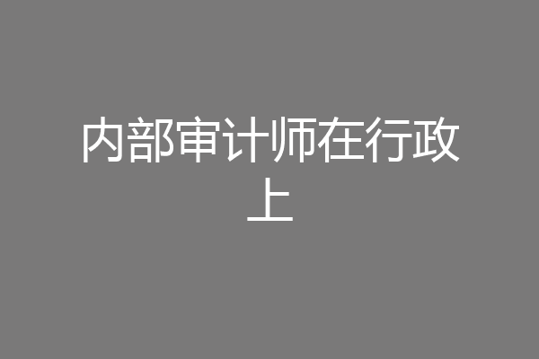 内部审计师在行政上