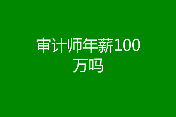 审计师年薪100万吗