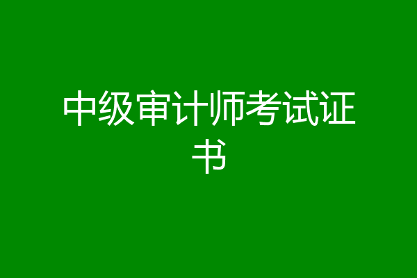 中级审计师考试证书