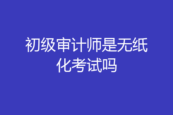 初级审计师是无纸化考试吗