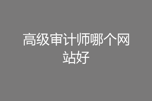 高级审计师哪个网站好