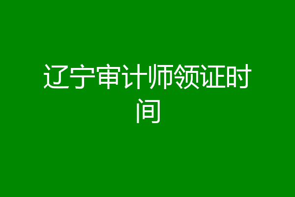 辽宁审计师领证时间