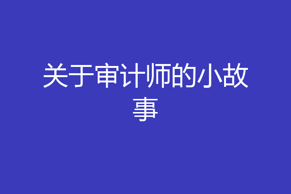 关于审计师的小故事