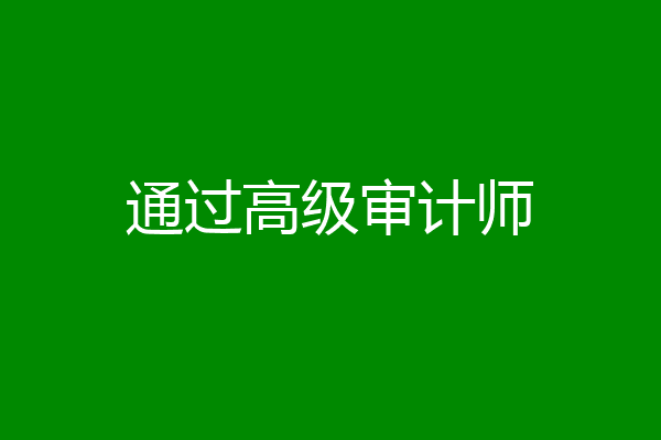 通过高级审计师