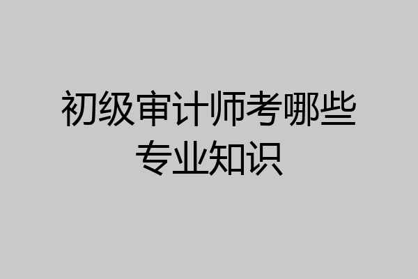 初级审计师考哪些专业知识