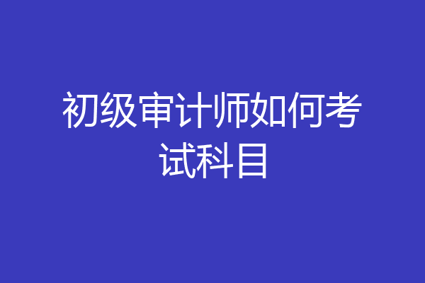 初级审计师如何考试科目