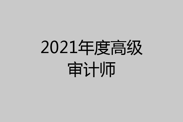 2021年度高级审计师