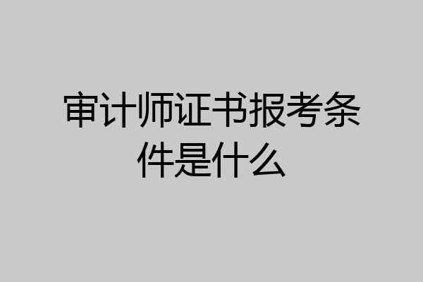 审计师证书报考条件是什么