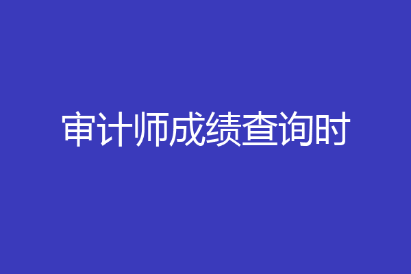 审计师成绩查询时