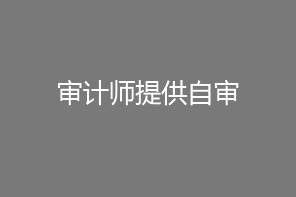 审计师提供自审