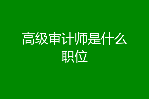 高级审计师是什么职位