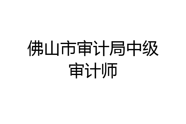 佛山市审计局中级审计师