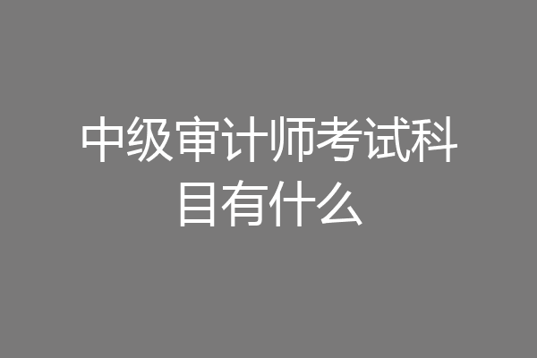 中级审计师考试科目有什么