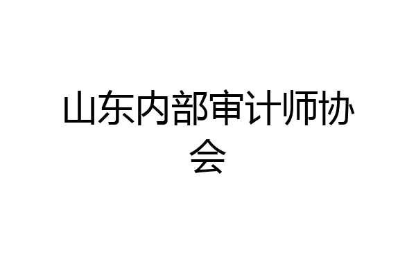 山东内部审计师协会