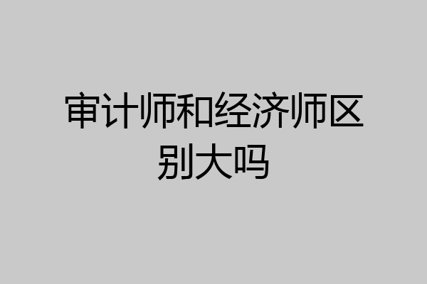 审计师和经济师区别大吗