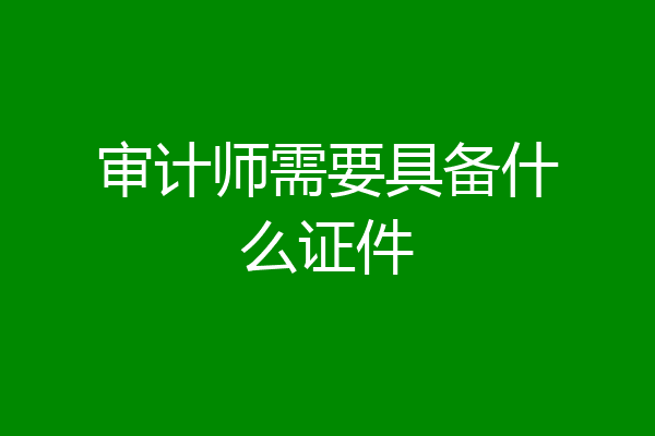 审计师需要具备什么证件