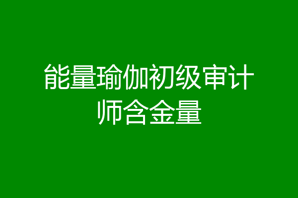 能量瑜伽初级审计师含金量
