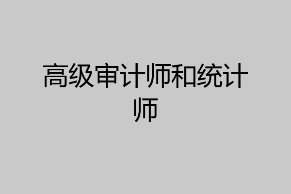 高级审计师和统计师