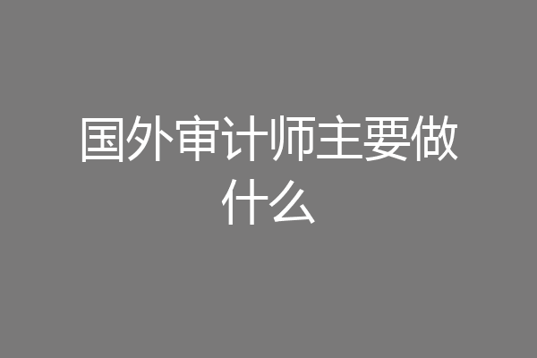 国外审计师主要做什么