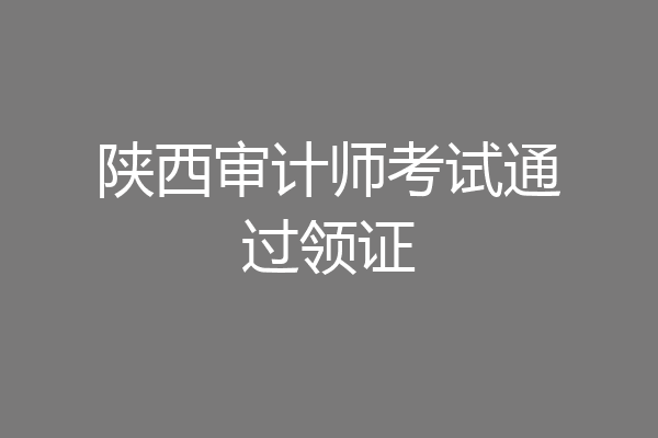 陕西审计师考试通过领证