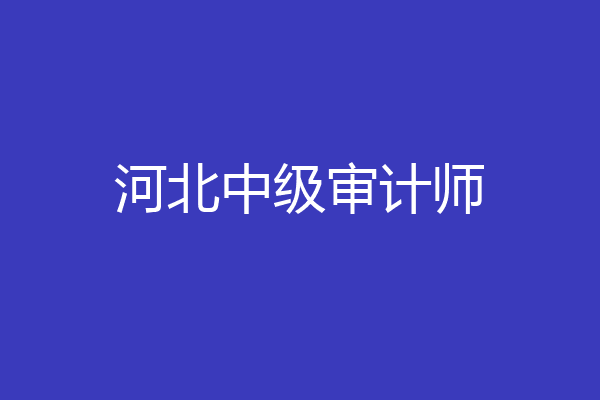 河北中级审计师