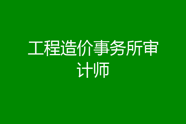 工程造价事务所审计师