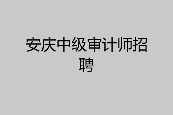安庆中级审计师招聘