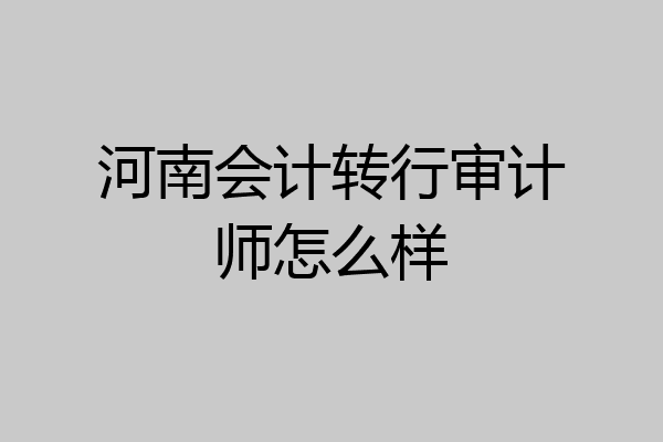 河南会计转行审计师怎么样