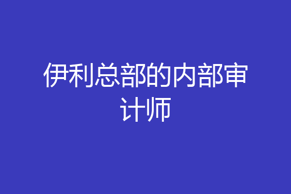 伊利总部的内部审计师
