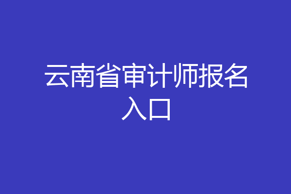 云南省审计师报名入口