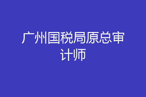 广州国税局原总审计师