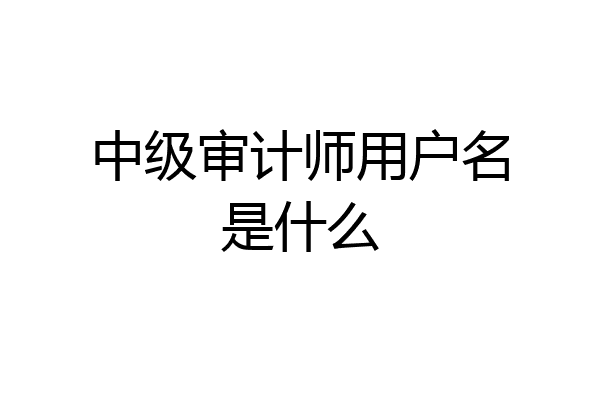 中级审计师用户名是什么