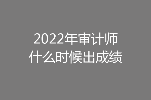 2022年审计师什么时候出成绩