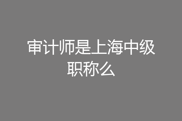 审计师是上海中级职称么