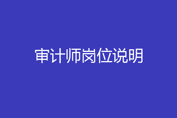 审计师岗位说明