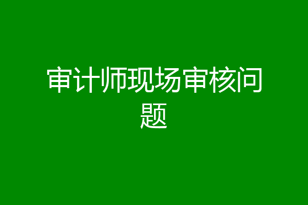 审计师现场审核问题