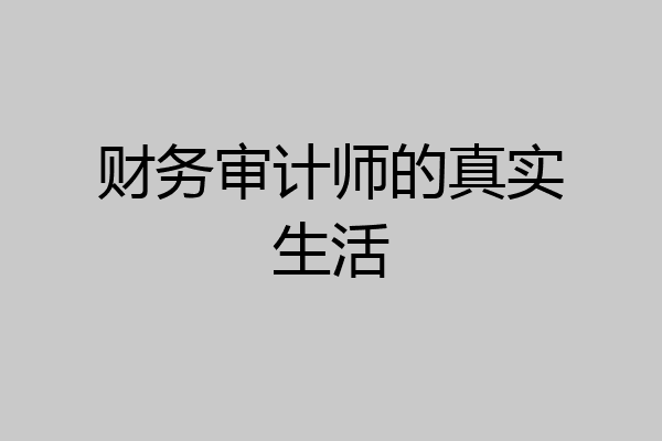 财务审计师的真实生活