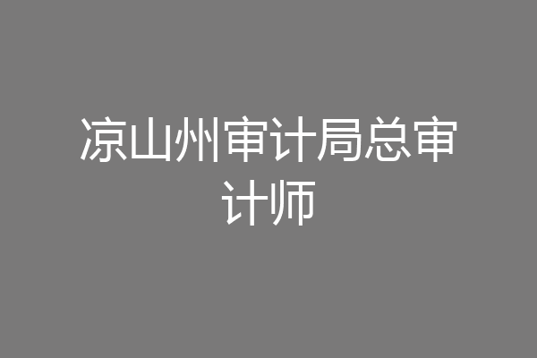 凉山州审计局总审计师