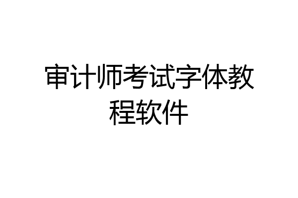 审计师考试字体教程软件