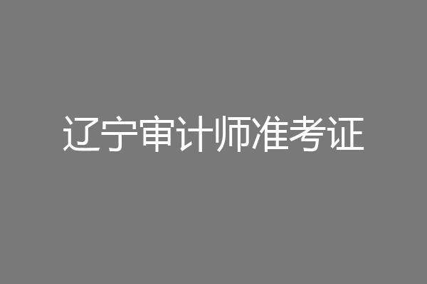 辽宁审计师准考证