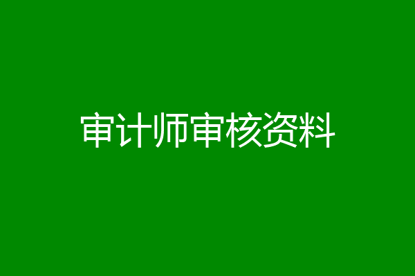审计师审核资料