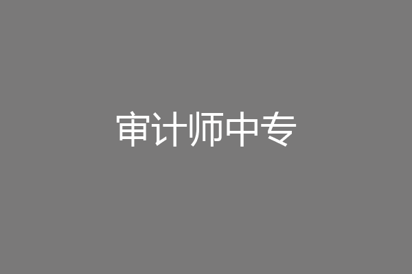 审计师中专