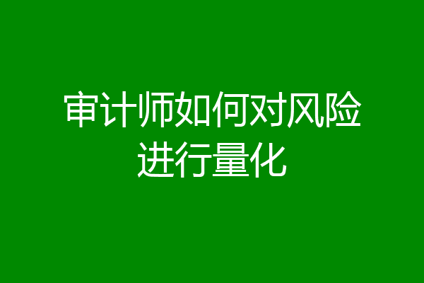 审计师如何对风险进行量化
