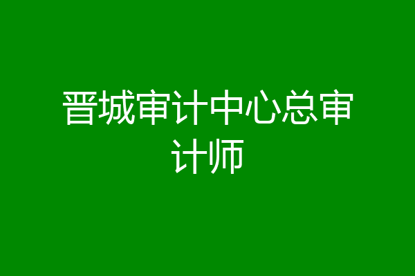晋城审计中心总审计师