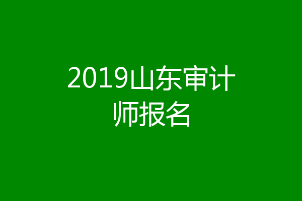 2019山东审计师报名