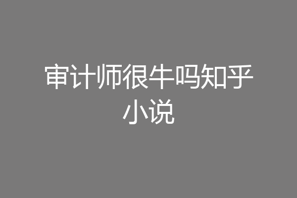 审计师很牛吗知乎小说