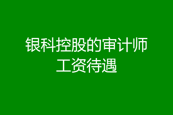 银科控股的审计师工资待遇