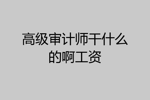 高级审计师干什么的啊工资
