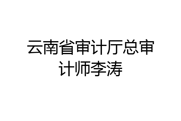 云南省审计厅总审计师李涛